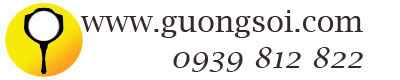 guongsoi.com
